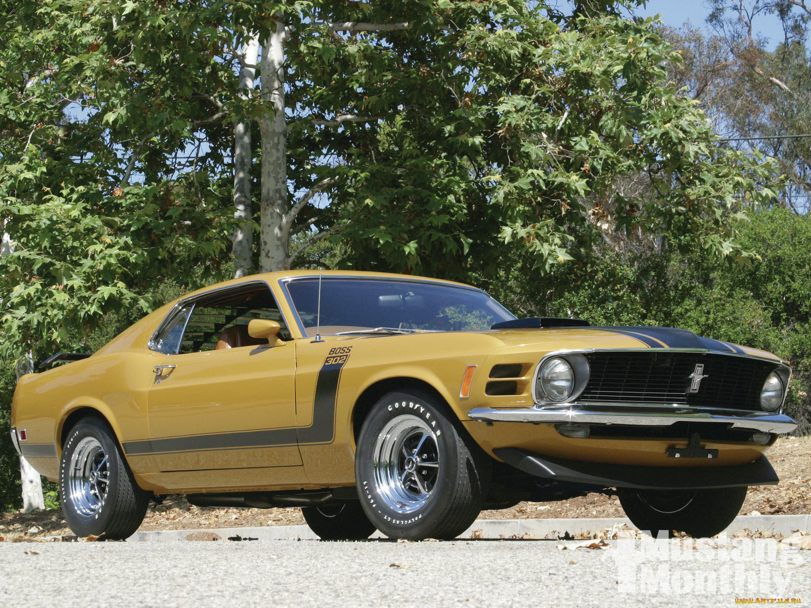 1970, ford, mustang, boss, 302, 